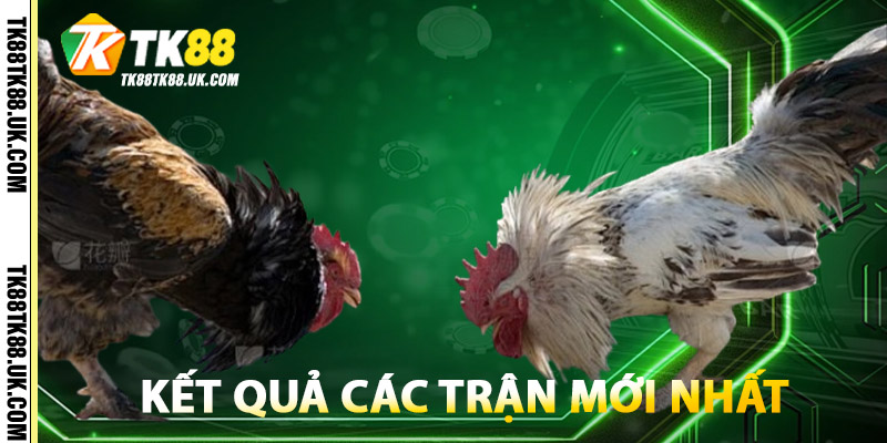 Đá Gà Campuchia – Kết Hợp Giải Trí & Cá Cược An Toàn 3 Kết Quả Các Trận Mới Nhất